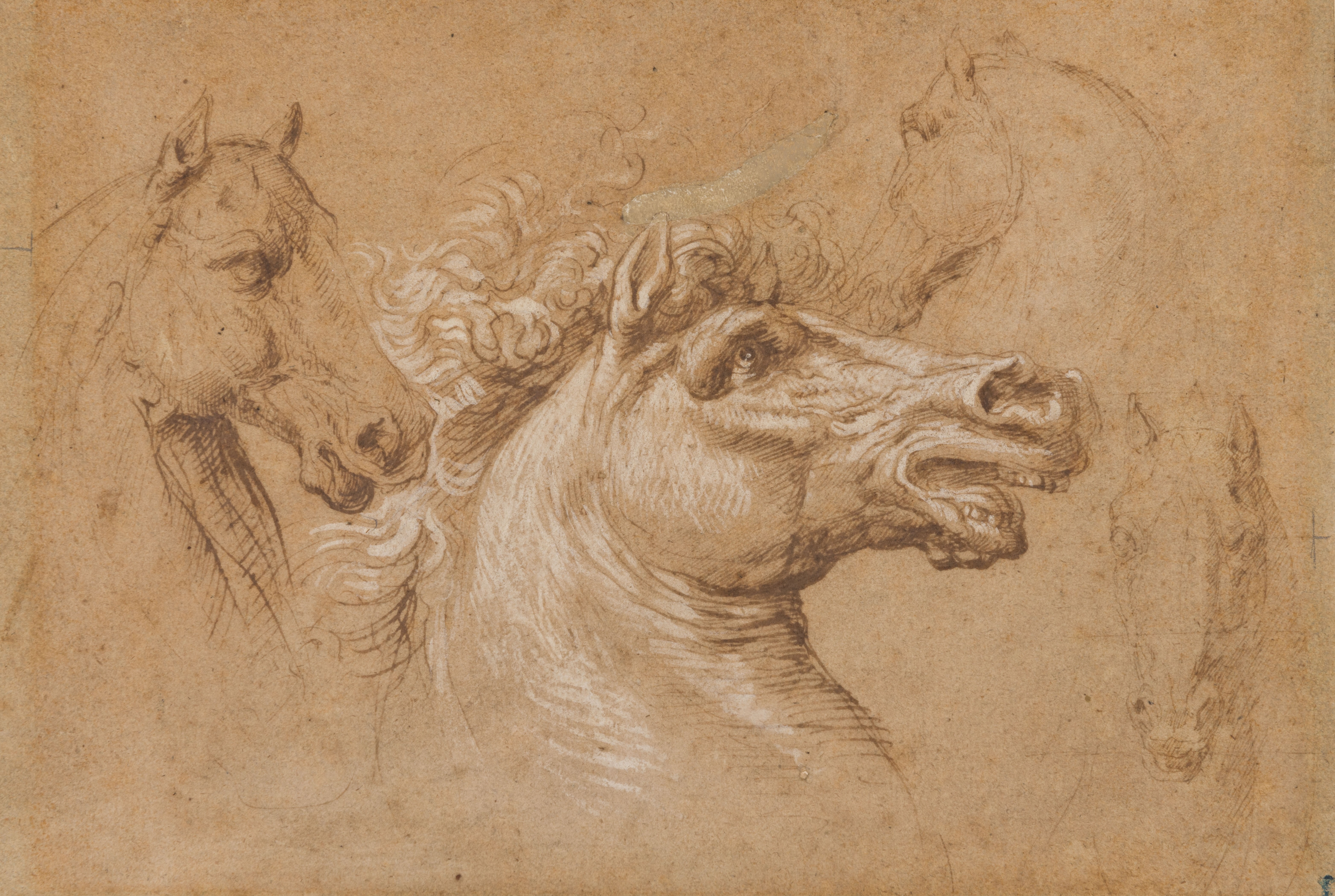 Four Studies of the Heads of Horses 